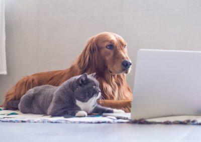 PC Doctor Home Business Computing Kamloops
