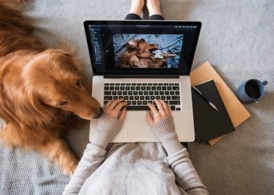 PC Doctor Home Business Computing Kamloops